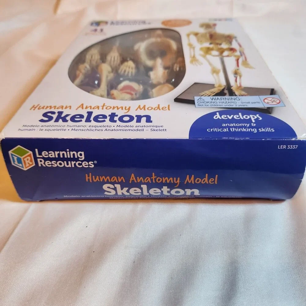 Learning Resources Mini Skeleton Model 9.2